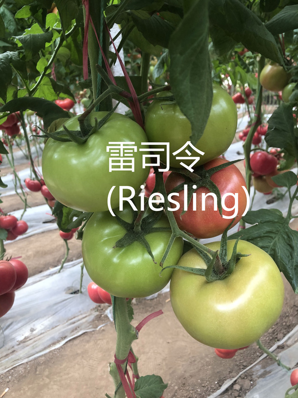 003_副本.jpg