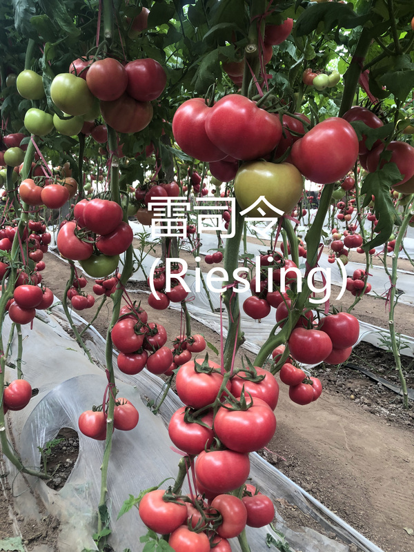 004_副本.jpg