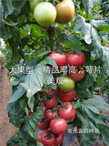 文章附圖