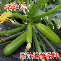 綠秀4號